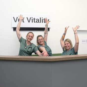 Vorschau von Tierarztpraxis Vet Vitality