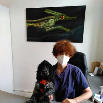 Vorschau von Kleintierpraxis Dr.med.vet. Ulrike Thome
