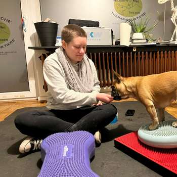Vorschau von Tierphysiotherapie Maj-Britt Thiesen
