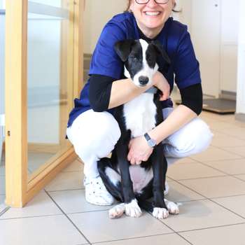 Preview of Kleintierpraxis Knittlingen Dr. med. vet. Antje Fischer