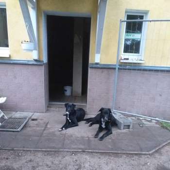 Vorschau von Ina Müller Tierärztin