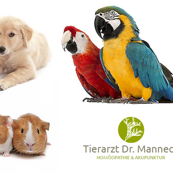 Vorschau von Dr.med.vet. Kai Uwe Manneck