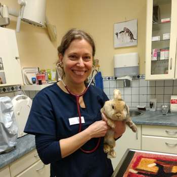 Vorschau von Kleintierpraxis Stahnsdorf Tierärztin Cordula Wirtz