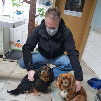Vorschau von Dr.med.vet. Sonja Gräber