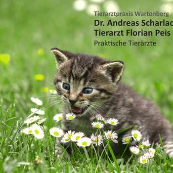Vorschau von Dr. Andreas Scharlach / TA Florian Peis Tierarztpraxis Wartenberg