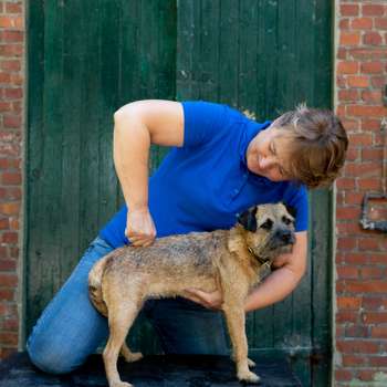 Vorschau von FourLegsRehab