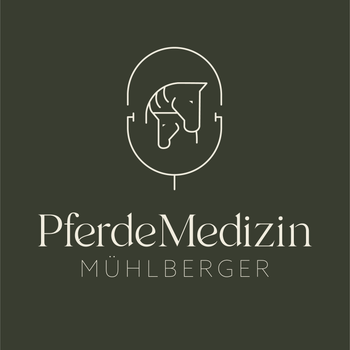 Preview of PferdeMedizin Mag.med.vet. Maria-Luise Mühlberger