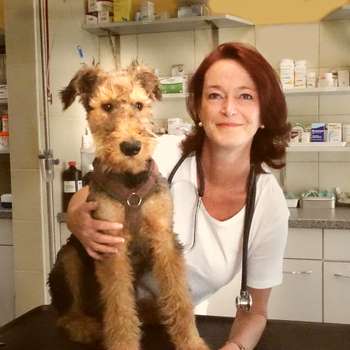 Vorschau von Praxis Dr. med. vet. Susanne Schüller