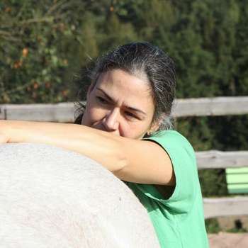 Vorschau von Cranio-Sacrale-Osteopathie & Tierheilpraxis "Von Kopf bis Huf"
