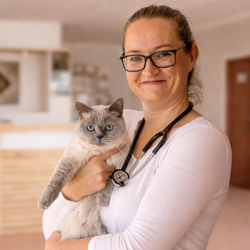 Vorschau von Tierarztpraxis Kletzen Kristina Iffland