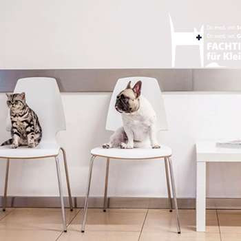 Vorschau von Tierärztliche Gemeinschaftspraxis für Kleintiere - Dr. Astner und Dr. Neumaier