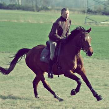 Vorschau von Dr.med.vet. Ulrich Wünsch Tierarzt
