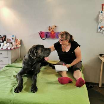 Preview of Tierphysiotherapeutin Marion Böttler