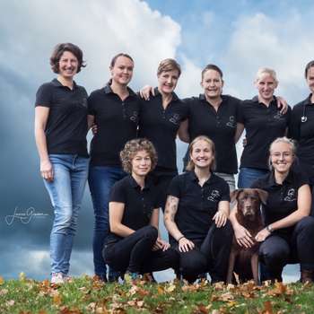 Vorschau von Pferdepraxis Seedorf