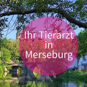Vorschau von Tierarztpraxis Rollin
