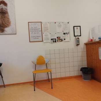 Vorschau von Tierarztpraxis Itkina