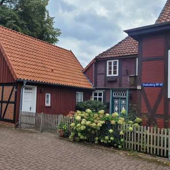 Vorschau von Solveig Brockmann, Physiotherapie & Chiropraktik für Hund und Pferd