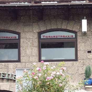 Vorschau von Kleintierpraxis Dr. Irmgard Tiefenthaler