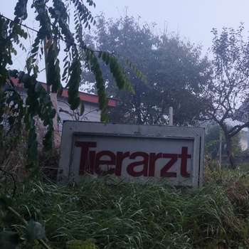 Preview of Tierarztpraxis Dr. Peter Csaszar