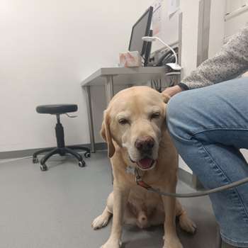 Vorschau von AniCura Tierklinik Haar