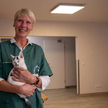 Vorschau von Kleintierpraxis Emmerthal – Dr. med. vet. Petra Kopperschmidt