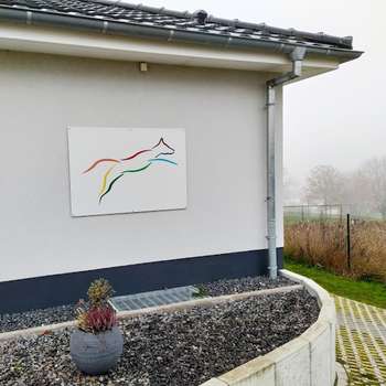 Vorschau von Hundephysiotherapie Nicole Bonitz