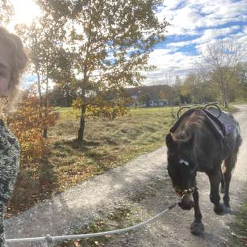 Vorschau von Mobile Tierarztpraxis Viktoria Tauschke, ganzheitliche Tiermedizin, Teckelteam
