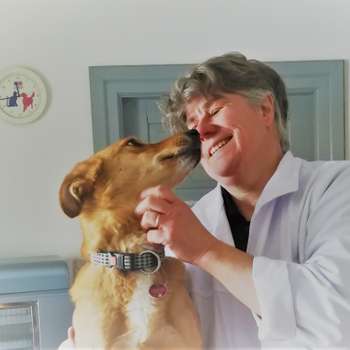 Vorschau von Tierarztpraxis Dr. Grebenau-Klehr