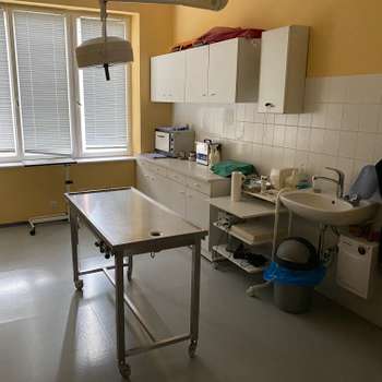 Vorschau von Janowski-Gastl Stephanie Dr.med.vet. Tierarzt