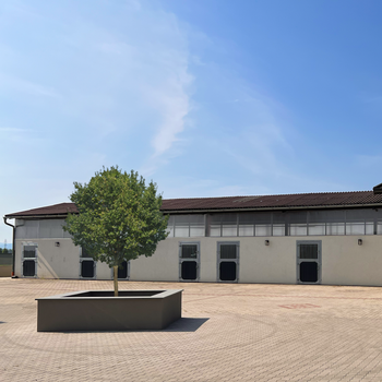 Vorschau von Ballycapall Pferdeklinik