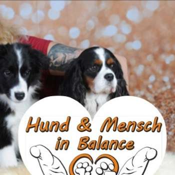 Vorschau von Hundephysiotherapie