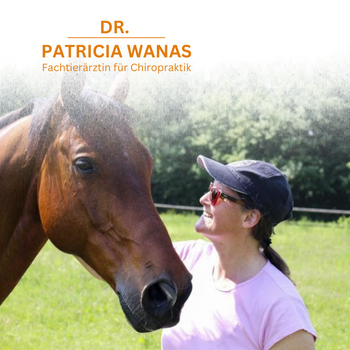 Preview of Dr. Patricia Wanas - Fachtierärztin für Chiropraktik