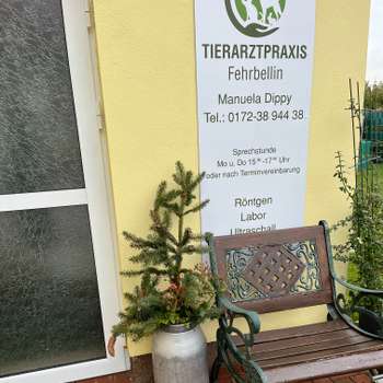 Vorschau von Manuela Dippy Tierärztin