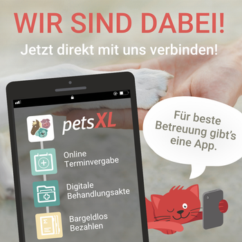 Vorschau von Anja Kaul Tierärztin für Pferde und Kleintiere