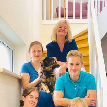 Vorschau von Tierarztpraxis Nora Wickidal