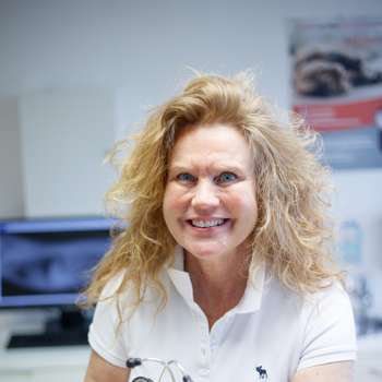 Vorschau von Stefanie Klingeberg-Kraus Tierärztin