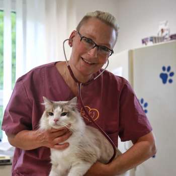 Vorschau von Christiane Bauer Praktische Tierärztin