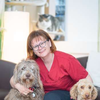 Vorschau von TGZ-Tiergesundheitszentrum Ragnitz - Dr.med.vet. Birgit Dastig