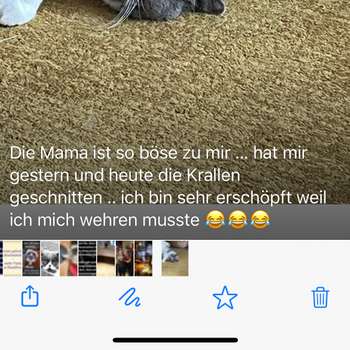 Vorschau von Silke Herzberger Tierärztin