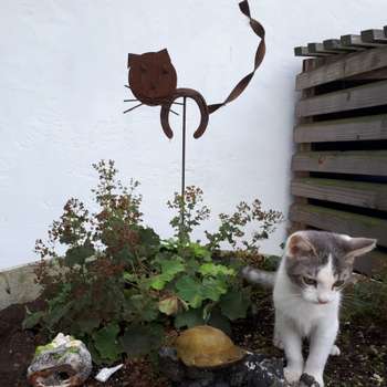 Vorschau von Tierarztpraxis Marion Michel