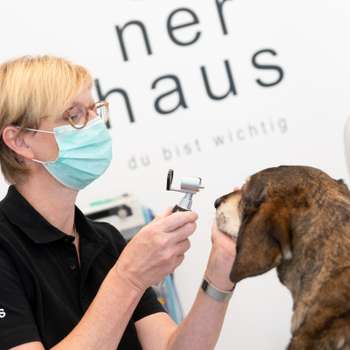 Vorschau von neunerhaus Tierarztpraxis