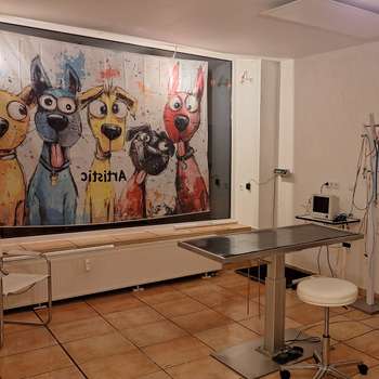 Vorschau von Dr. med. vet. Eva Lauck