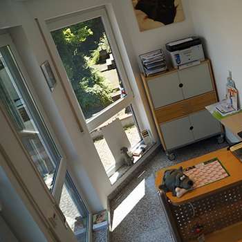 Vorschau von Tierarztpraxis Anke Pawel