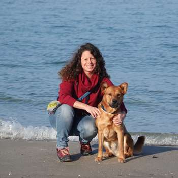 Vorschau von Dr. med. vet. Ina Rheker Tierarztpraxis & Hundeschule Schmerzambulanz Sprechzeiten und Notdienst unter www.dr-rheker.de