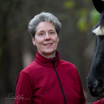 Vorschau von Pferde- und Kleintierpraxis Dr. med. vet. Karola Kadau