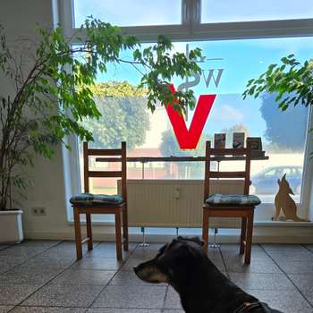 Vorschau von Dr. Tajo M. Waack