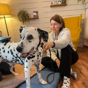 Vorschau von Tierarzthände-Tierärzliche Praxis für Chiropraktik Hamburg - Rissen