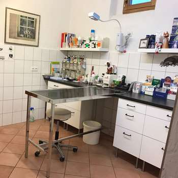 Vorschau von TIERARZTPRAXIS STEINBACH