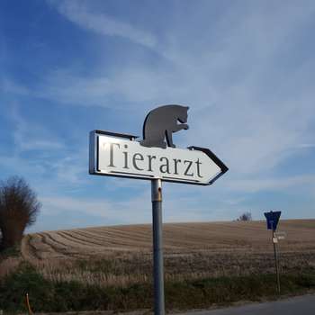 Vorschau von Tierarzt Dr. Anita Kotter