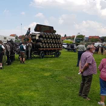 Vorschau von Pferde in Thüringen